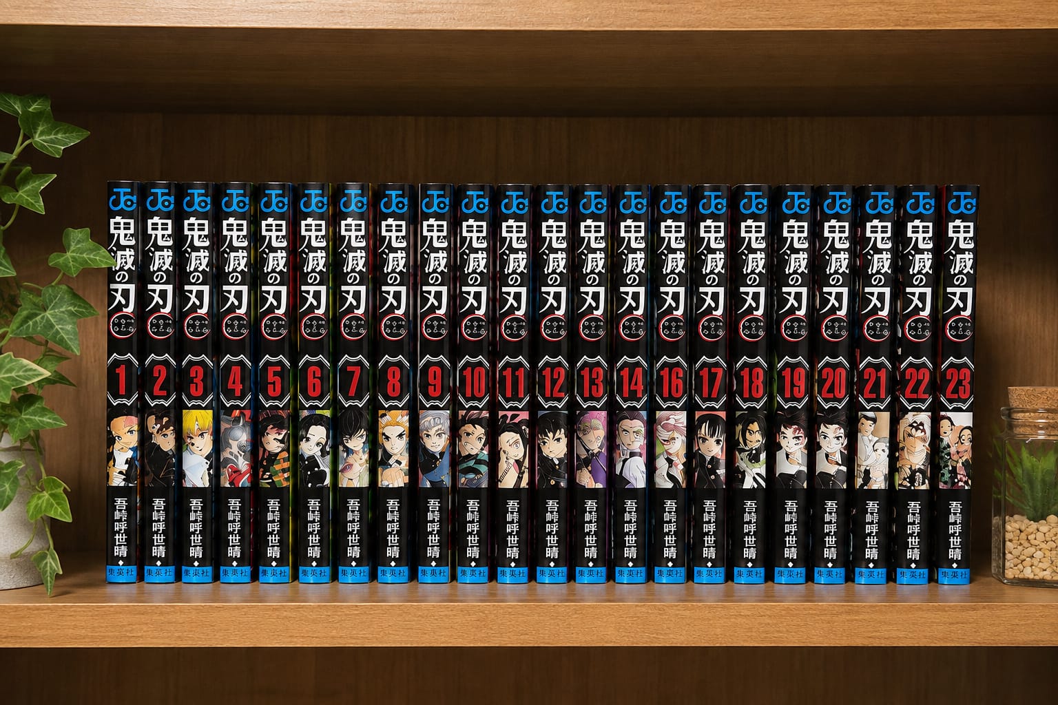 Completed manga box sets